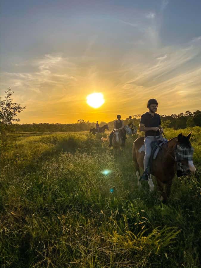 Hunter Valley: Sunset Horse Riding Tour 90min - A gentle start for beginners and families