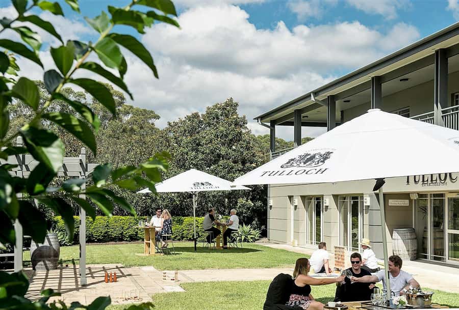 Hunter Valley: Tulloch Wine Tasting and Chocolate Pairings - What happens during the 45-minute tasting