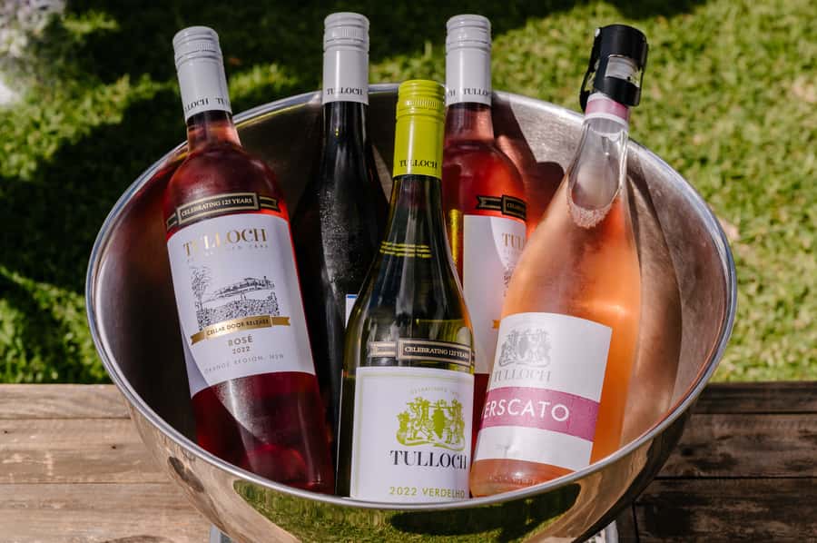 Hunter Valley: Tulloch Wines Mystery Wine & Cheese Tasting - Should you book the Tulloch Mystery Wine and Cheese Tasting?