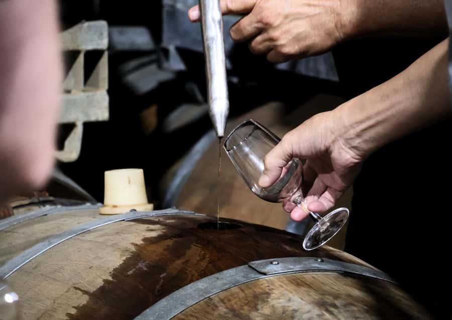 Hunter Valley: Wine, Chocolate and Lunch All Inclusive Tour - Who should book this experience?