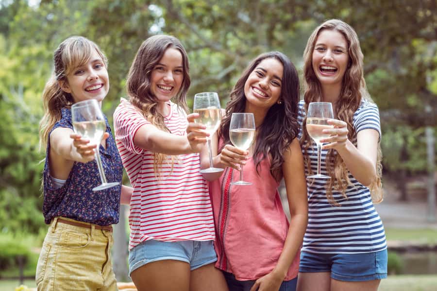Hunter Valley: Wine, Chocolate and Lunch All Inclusive Tour - Hunter Valley Gardens for 45 minutes of freedom