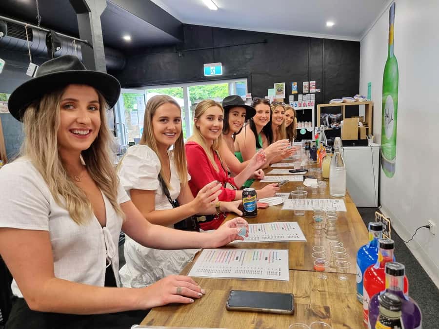 Hunter Valley: Wine, Gin, Cheese and Chocolate Tour - First stop: boutique wine and a feel for the region