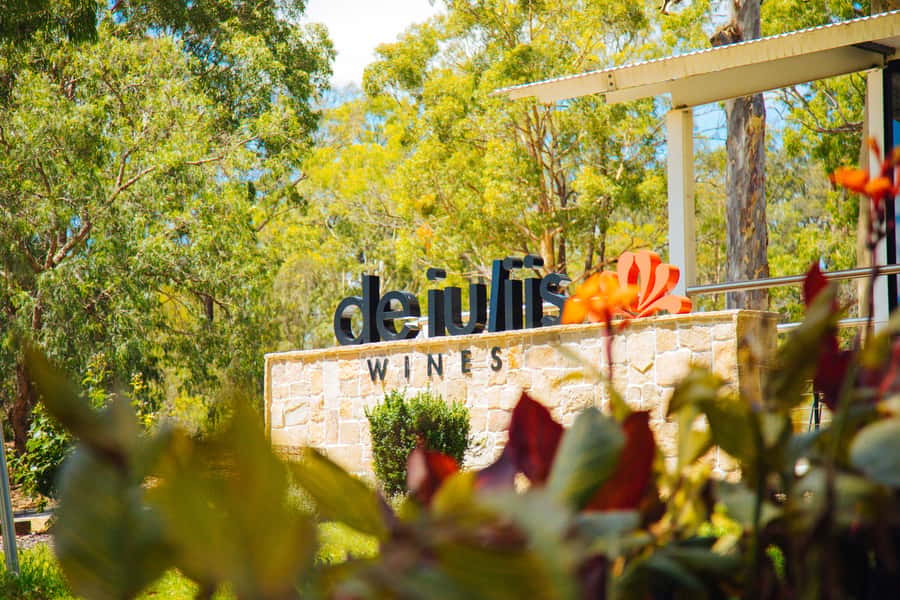 Hunter Valley: Wine, Spirits, and Cheese Tour with Lunch - Cheese, chocolate, and wine make the day memorable