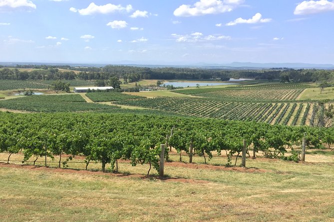 Hunter Valley Wine Tasting Private Tour From Sydney - What the $340.69 price really buys you