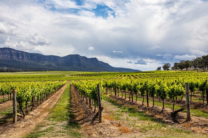 Hunter Valley Wine Tasting Tour from Sydney - Quick points before you book