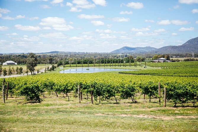 Hunter Valley Wine Tasting Tour from Sydney - Why this makes sense from Sydney