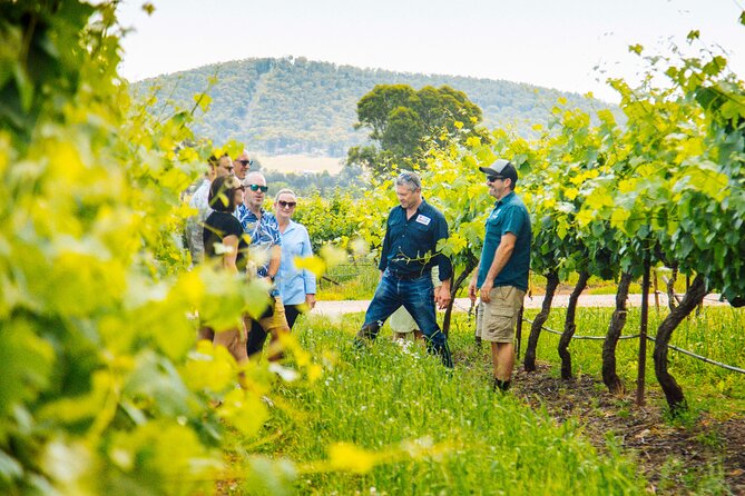Hunter Valley Wine Tasting Tour from Sydney - Iron Gate Estate, the day’s first wine stop