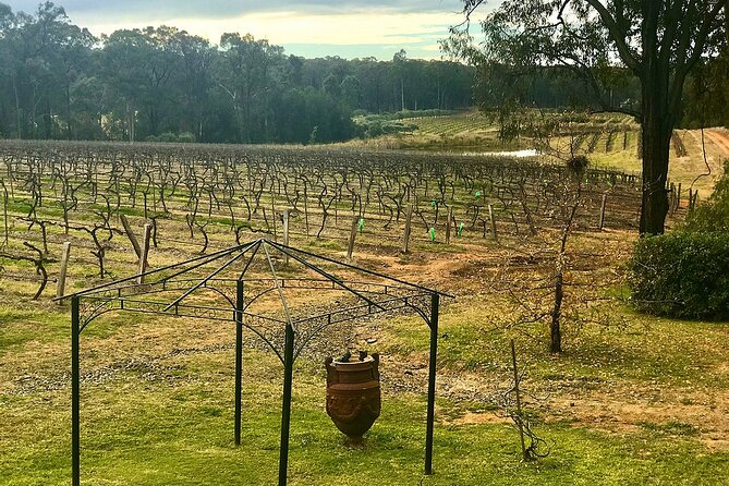 Hunter Valley Wine Tour from Sydney: 3 Wineries & Vineyard Picnic - Bimbadgen Estate supplies the big view