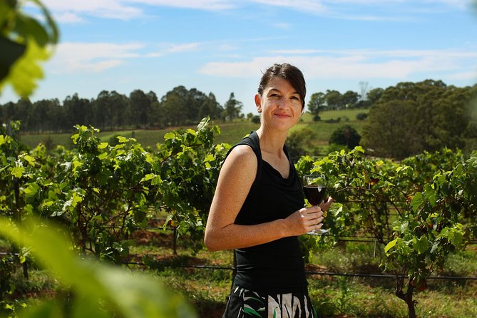 Hunter Valley Wine Tour from Sydney with Lunch and 3 Cellar Door Tastings - Three cellar doors around Pokolbin