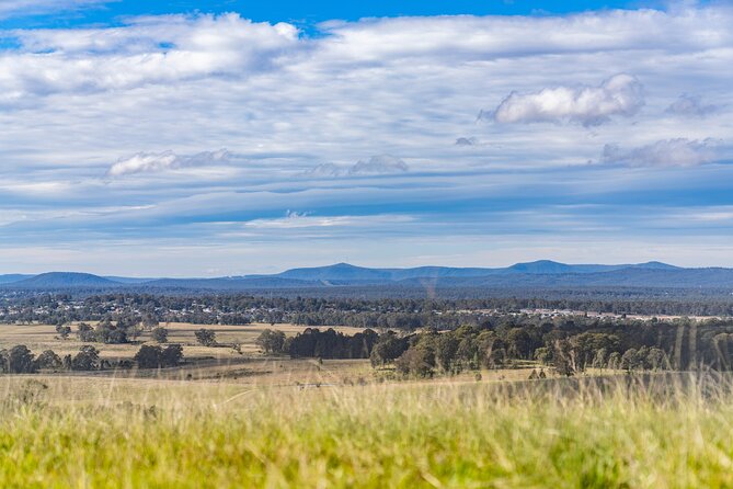 Hunter Valley Wine Tour from Sydney with Lunch and 3 Cellar Door Tastings - Cheese, chocolate, and the extra tasting stops