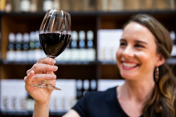 Hunter Valley Wine Tour from Sydney with Lunch and 3 Cellar Door Tastings - Comfort, group size, and the ride itself