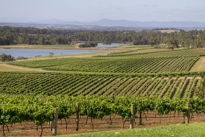 Hunter Valley Wine Tour from Sydney with Lunch and 3 Cellar Door Tastings - Is $168.55 good value?