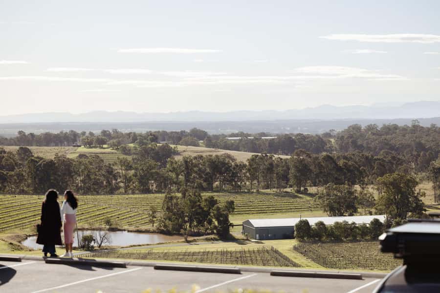 Hunter Valley: Wine Tour with 2-Course Lunch, Choc & Cheese - Mount Pleasant and a taste of Australian wine history