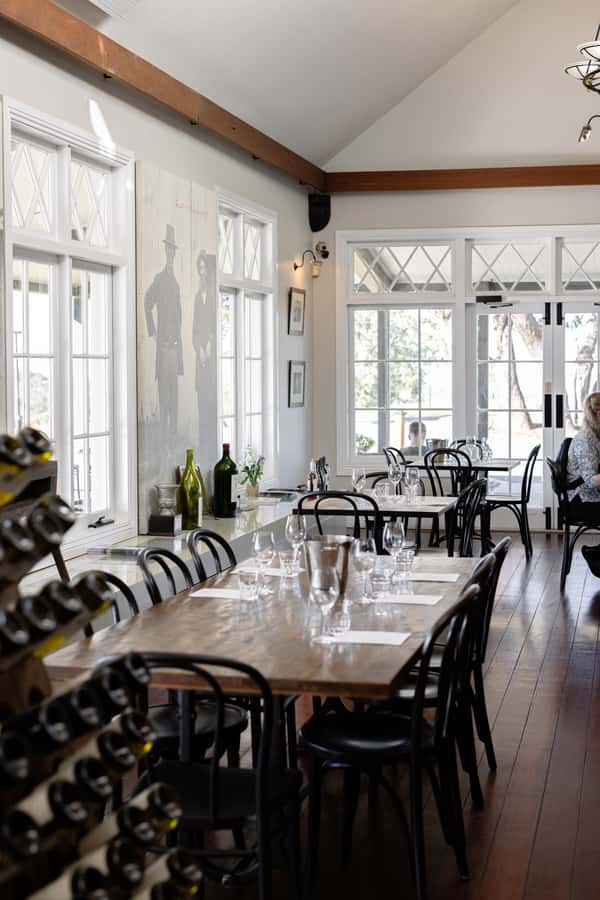 Hunter Valley: Wine Tour with 2-Course Lunch, Choc & Cheese - Binnorie Dairy and the final cheese tasting