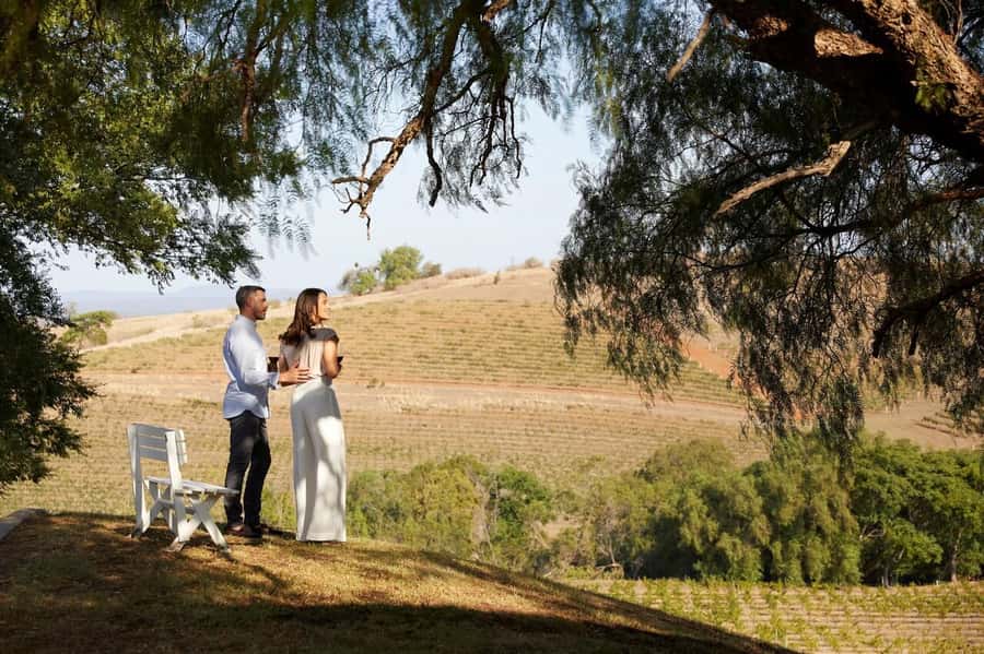 Hunter Valley: Wine Tour with 3 Tastings and Garden Lunch - Who will get the most from this day