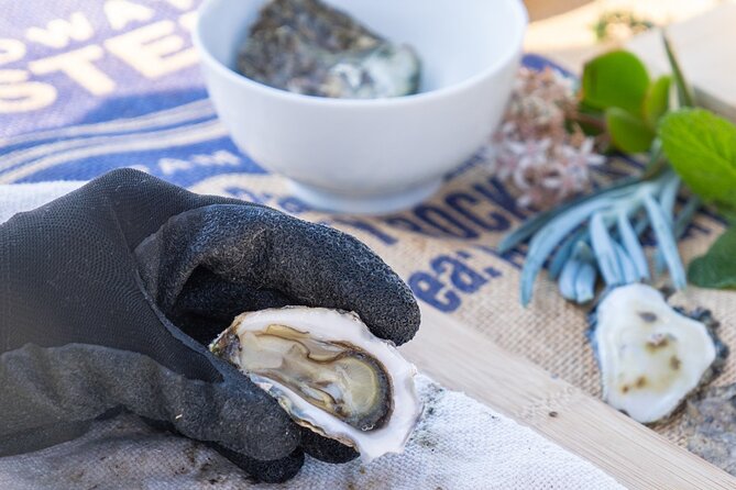 Informative Oyster Activity: Handling, Shucking & Storing + Kayaking - Seeing oyster farming from the water