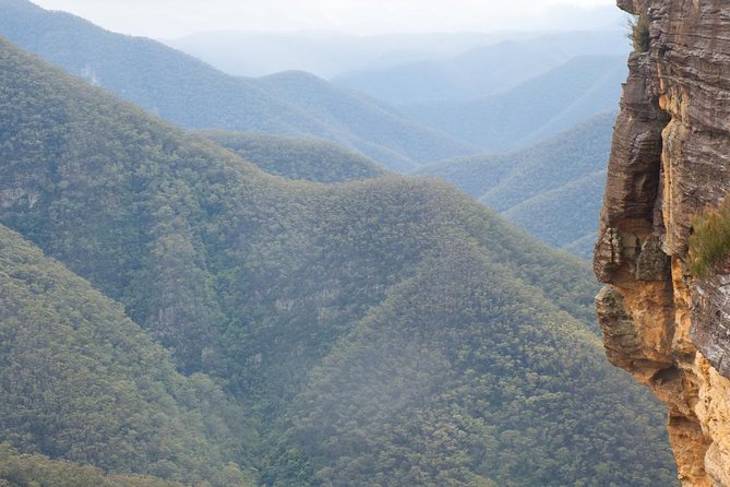 Inside the Greater Blue Mountains World Heritage - A Private Wildlife Safari Overnight - Cahill’s Lookout and Pulpit Rock