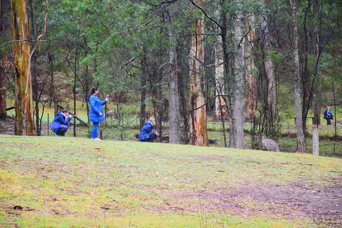 Inside the Greater Blue Mountains World Heritage - A Private Wildlife Safari Overnight - Jenolan Caves adds an underground chapter