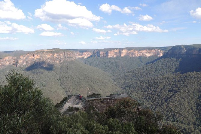 Inside the Greater Blue Mountains World Heritage - A Private Wildlife Safari Overnight - Kanangra-Boyd National Park and the 30-kilometre dirt road