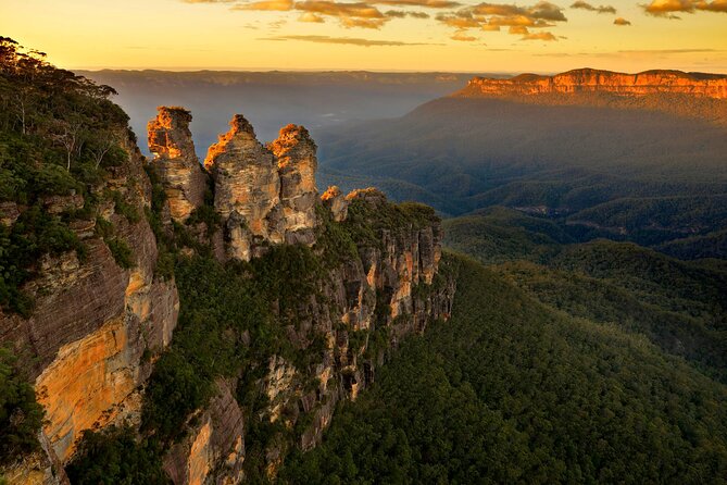 Intimate Blue Mountains Wild Kangaroos & Sunset for Nature Lovers - Why this Blue Mountains day feels different