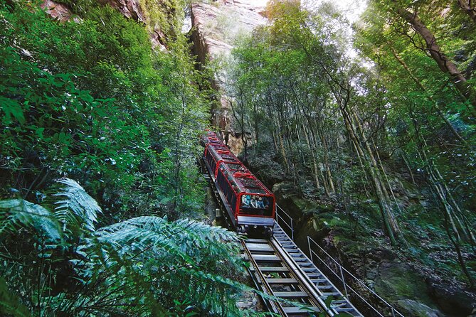 Intimate Blue Mountains Wild Kangaroos & Sunset for Nature Lovers - Leura’s quiet streets and the Three Sisters