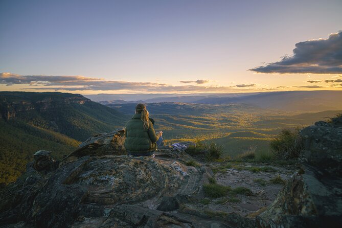 Intimate Blue Mountains Wild Kangaroos & Sunset for Nature Lovers - Coachwood Glen’s ancient rainforest