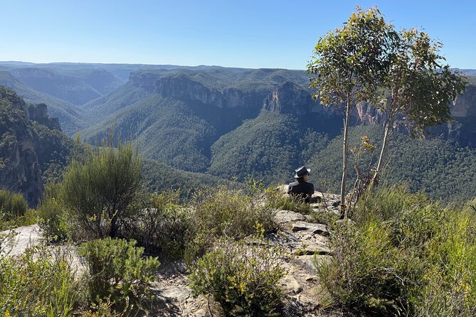 Intimate Blue Mountains Wild Kangaroos & Sunset for Nature Lovers - Megalong Valley and wild kangaroos