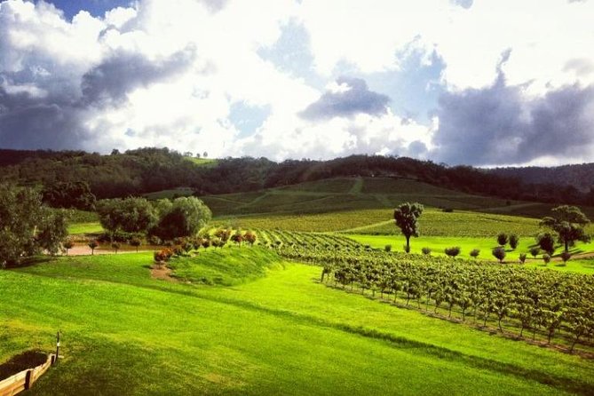 Ivanhoe Wines: Trip Advisor Premium Wine Tasting - Practical details that affect your visit