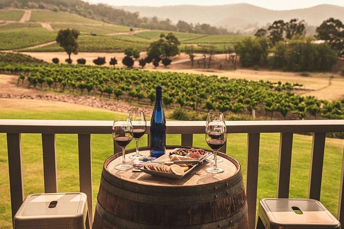 Ivanhoe Wines: Trip Advisor Premium Wine Tasting - The cheese plate makes the $28 price work