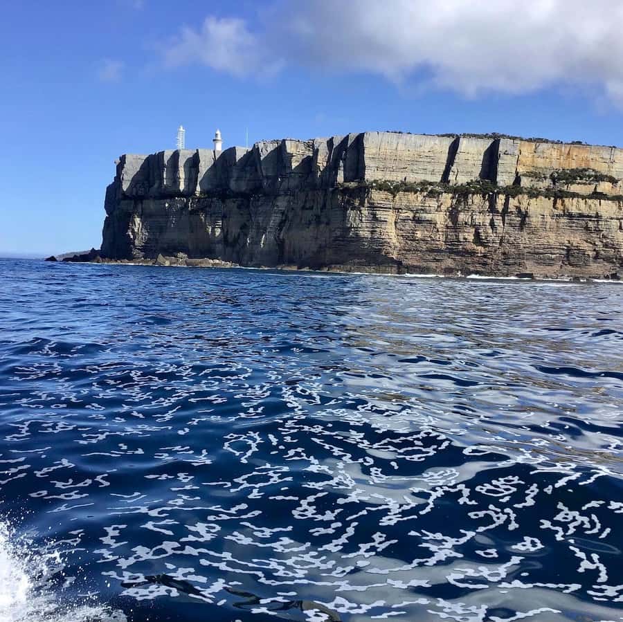 Jervis Bay: 2-Hour Cruise of Jervis Bay Passage - What the commentary adds to the scenery