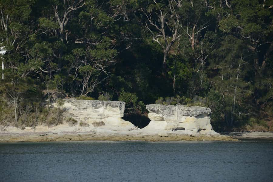 Jervis Bay: 2-Hour Cruise of Jervis Bay Passage - Comfort, weather, and motion