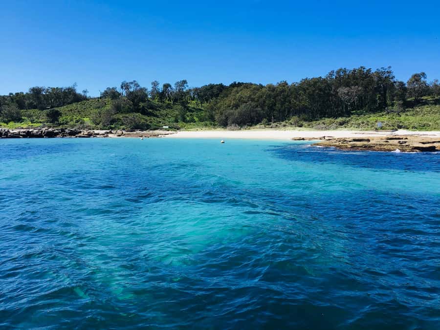 Jervis Bay: 2-Hour Cruise of Jervis Bay Passage - Is $63 good value for two hours?