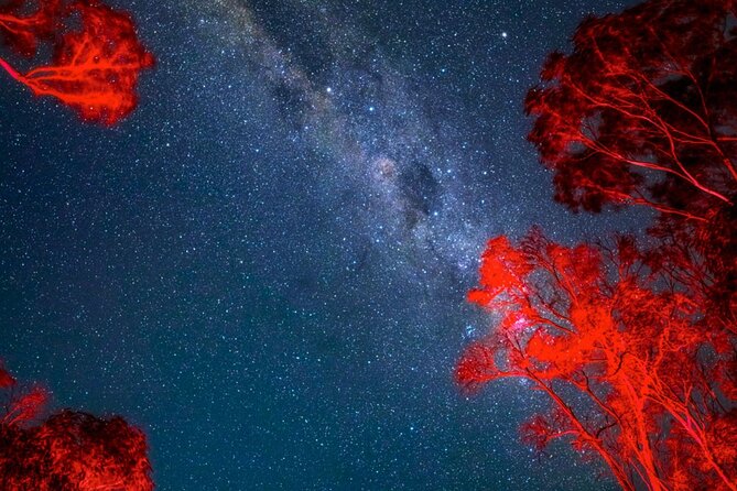 Jervis Bay Beach Stargazing Tour with our Astronomer - Meeting the astronomer behind the session