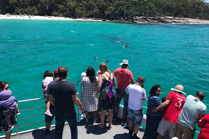 Jervis Bay Dolphin Cruise - What the commentary adds to the ride