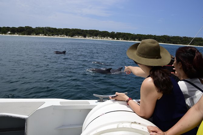 Jervis Bay Dolphin Cruise - Searching the reef systems for bottlenose dolphins