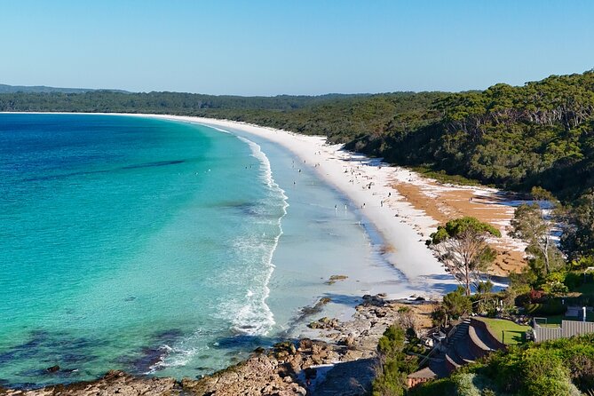 Jervis Bay Highlights Tour – Small Group Experience Scenic Coast - Key points at a glance