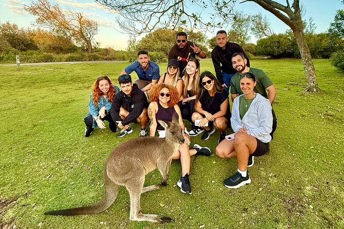 Jervis Bay Highlights Tour – Small Group Experience Scenic Coast - Bald Hill Lookout and the chance of marine life