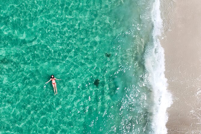 Jervis Bay Highlights Tour – Small Group Experience Scenic Coast - The included photos and guide style