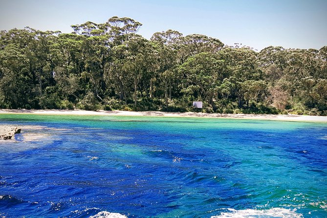 Jervis Bay Passage Tour - How much value do you get for $64.55?