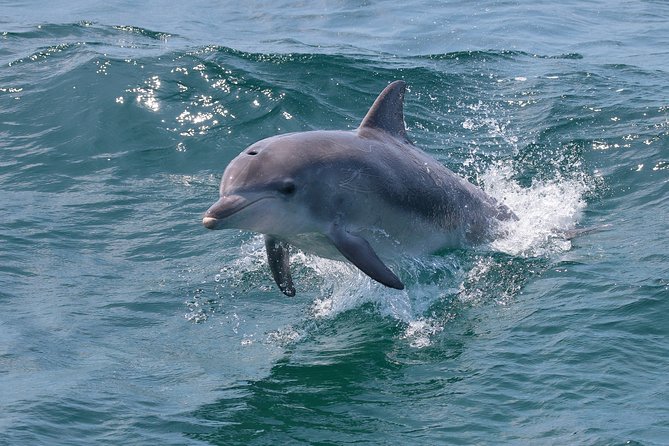 Jervis Bay Passage Tour - Booking and cancellation details worth knowing
