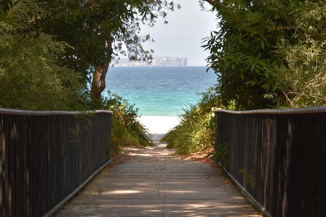 Jervis Bay Tour with Dolphins, Kangaroos & World's Whitest Beach - Jervis Bay Marine Park and the dolphin cruise