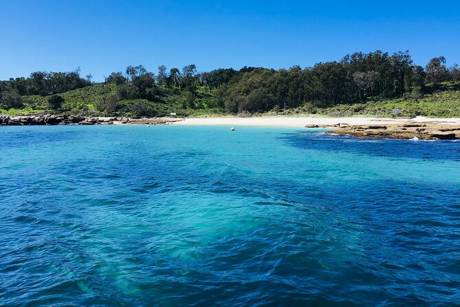 Jervis Bay Whale Watching Tour - How the €40.95 price works for you