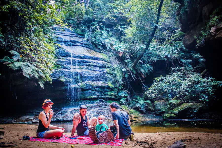 Katoomba: Blue Mountains Full-Day Hop-On Hop-Off Bus Tour - Starting at Katoomba Station