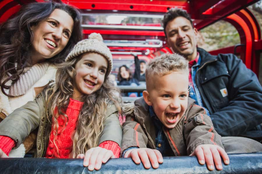Katoomba: Scenic World 1-Day Unlimited Discovery Pass - Key points to know before you go