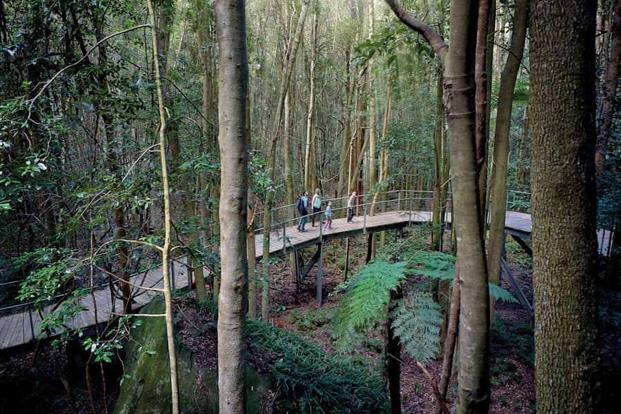 Katoomba: Scenic World 1-Day Unlimited Discovery Pass - Timing, weather, and queues