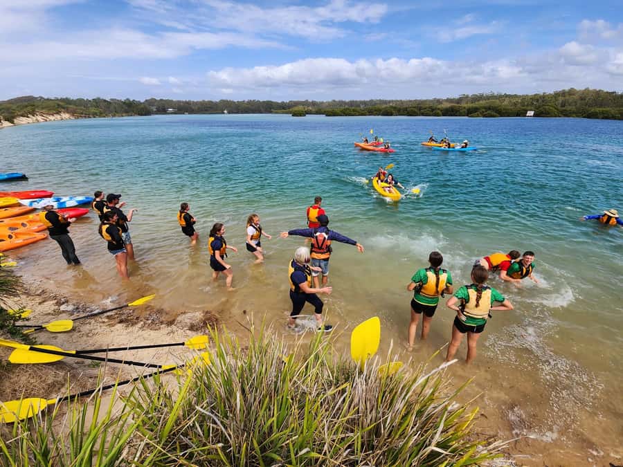 Kayak Hire Batemans Bay - Wildlife around the boatshed and estuary