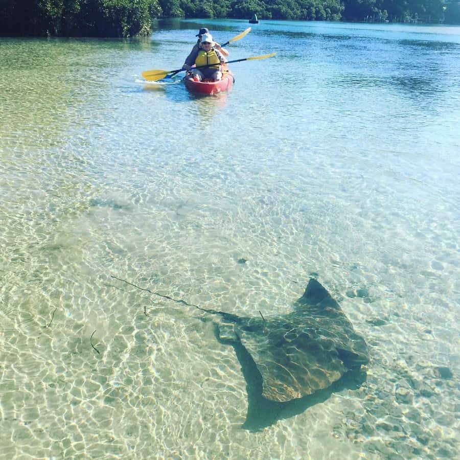 Kayak Hire Batemans Bay - Arriving at the Mossy Point boatshed