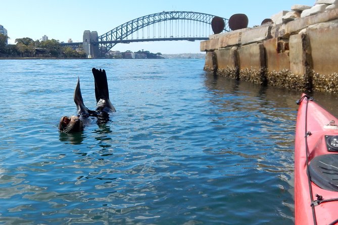 Kayak to Goat Island in Sydney Harbour with Local - Reaching Goat Island, or Me-mel
