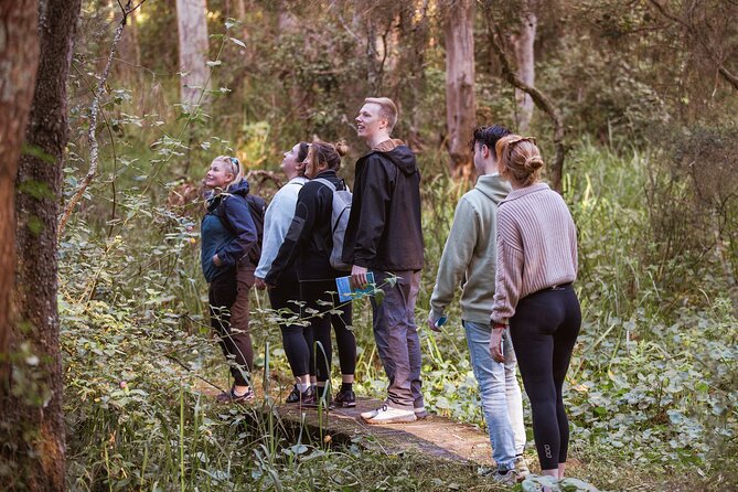 Lake Cruise and Nature Walk in Lake Macquarie - Lunch at Dobell Park beside Wangi Wangi Beach