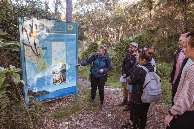 Lake Cruise and Nature Walk in Lake Macquarie - Timing, weather, and simple planning advice